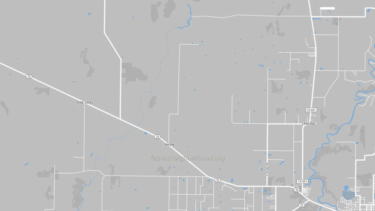Transit Grade map of Pine Level, FL