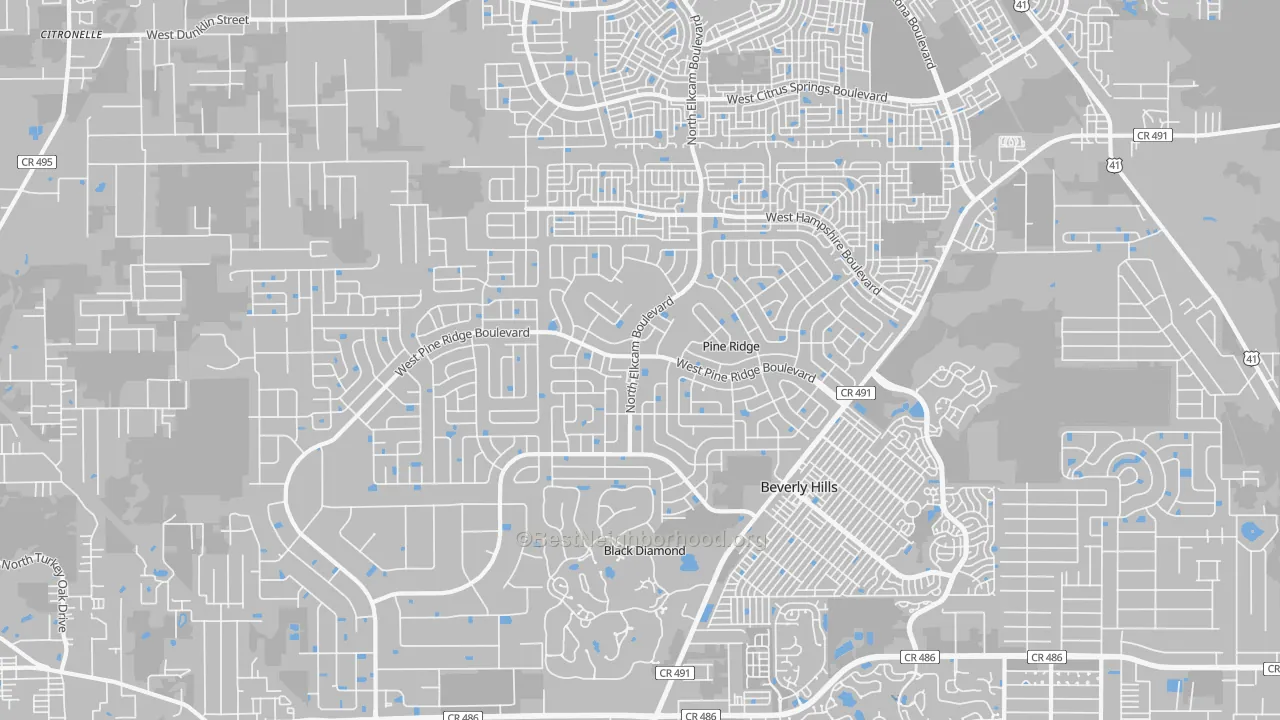 Transit Grade map of Pine Ridge, FL