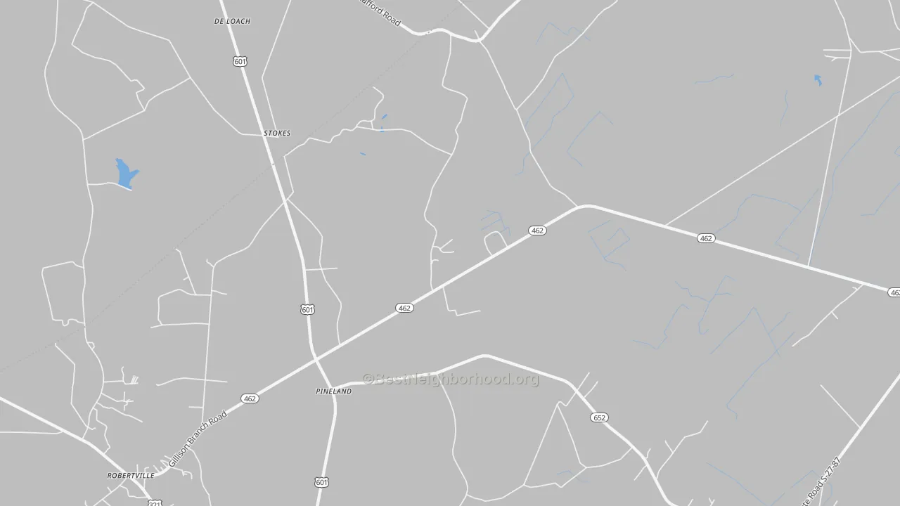 Transit Grade map of Pineland, SC