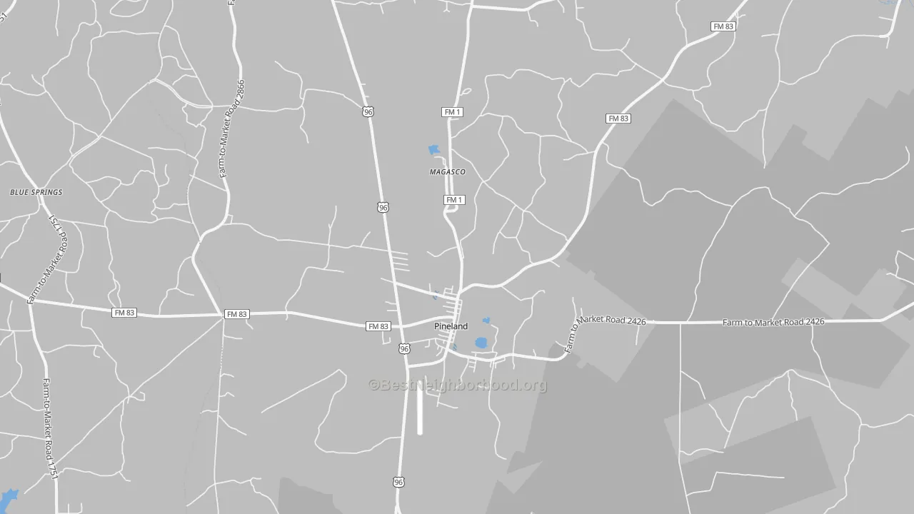 Transit Grade map of Pineland, TX