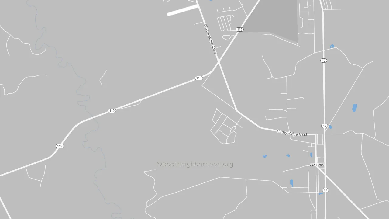 Transit Grade map of Pineora, GA