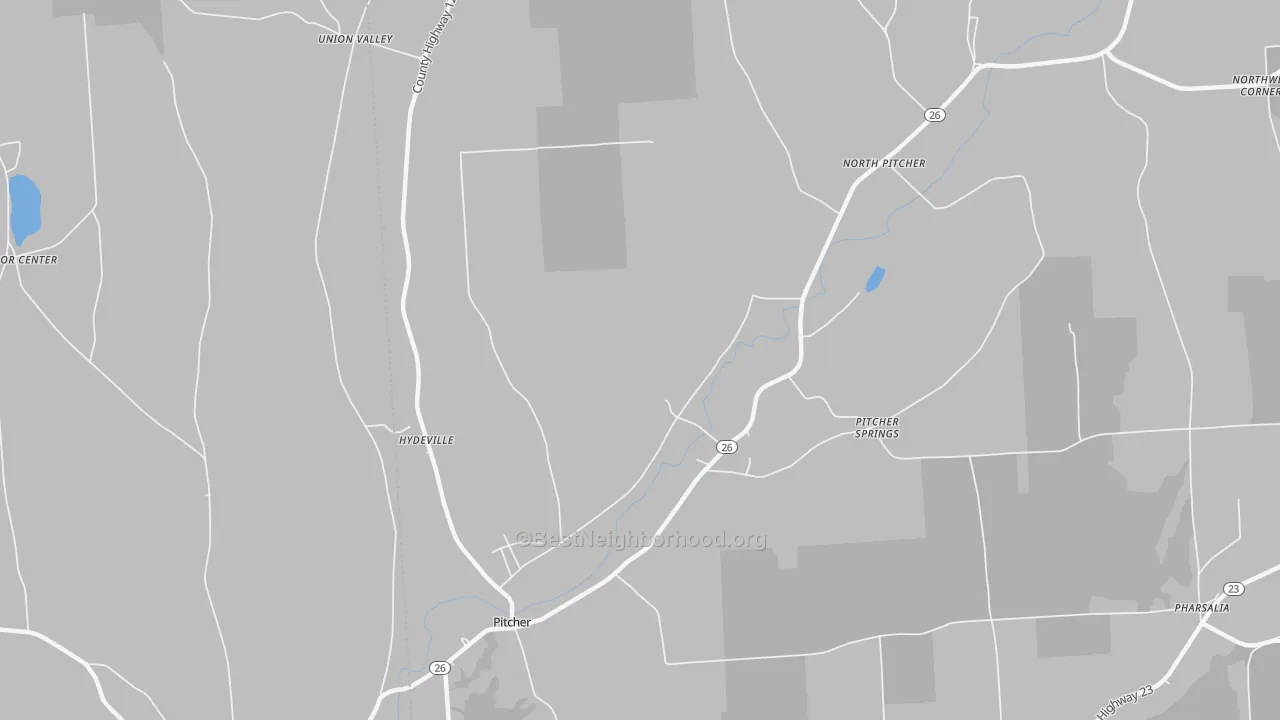 Transit Grade map of Pitcher, NY