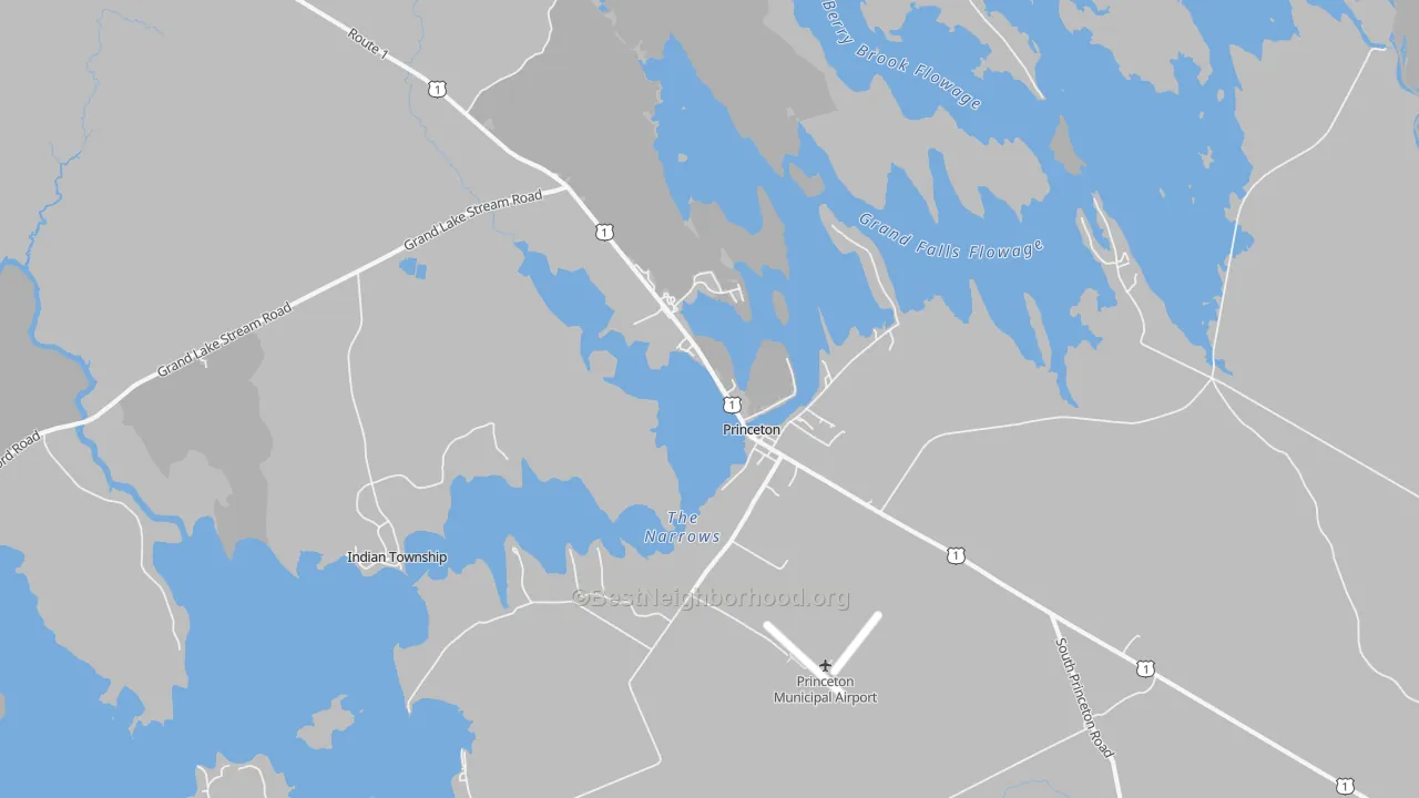 Transit Grade map of Princeton, ME
