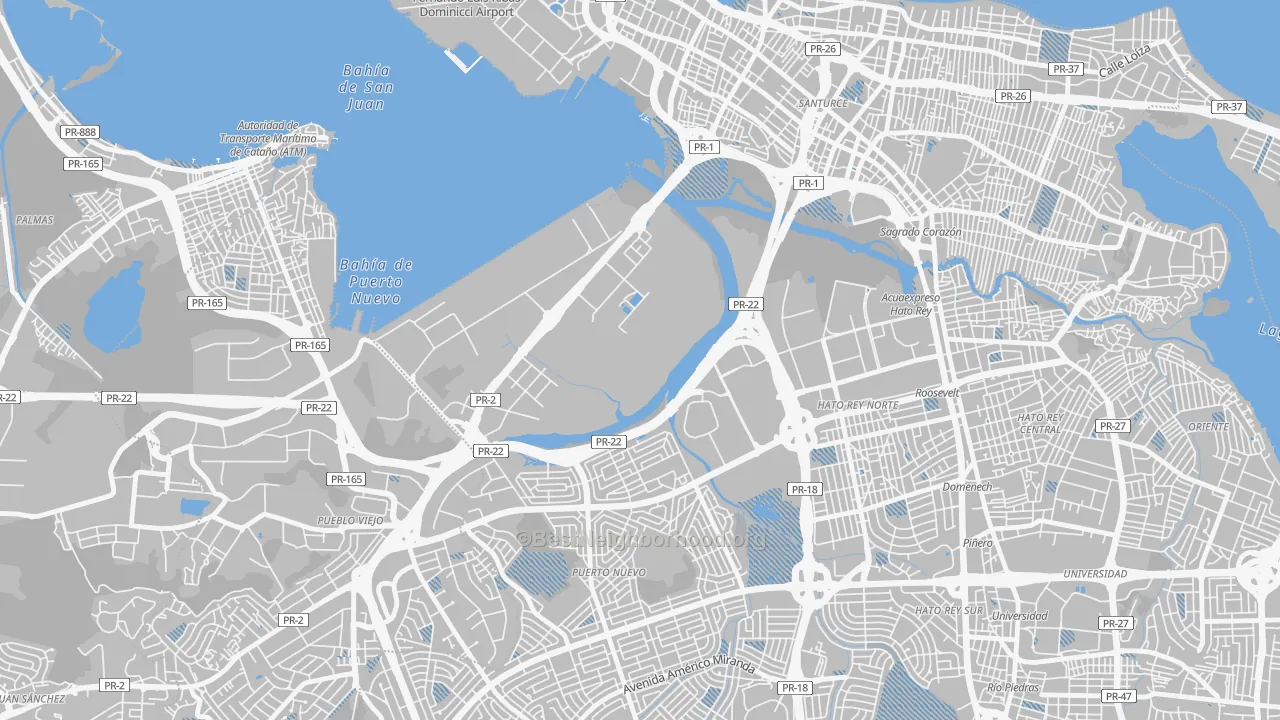 Transit Grade map of Puerto Nuevo, PR