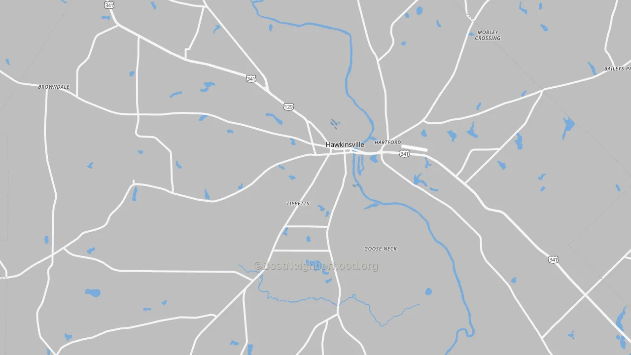 Transit Grade map of Pulaski County, GA