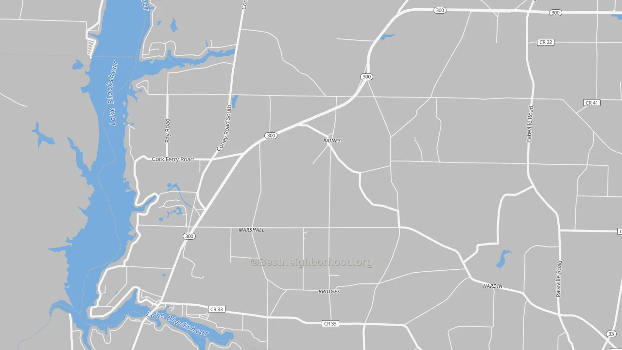 Transit Grade map of Raines, GA