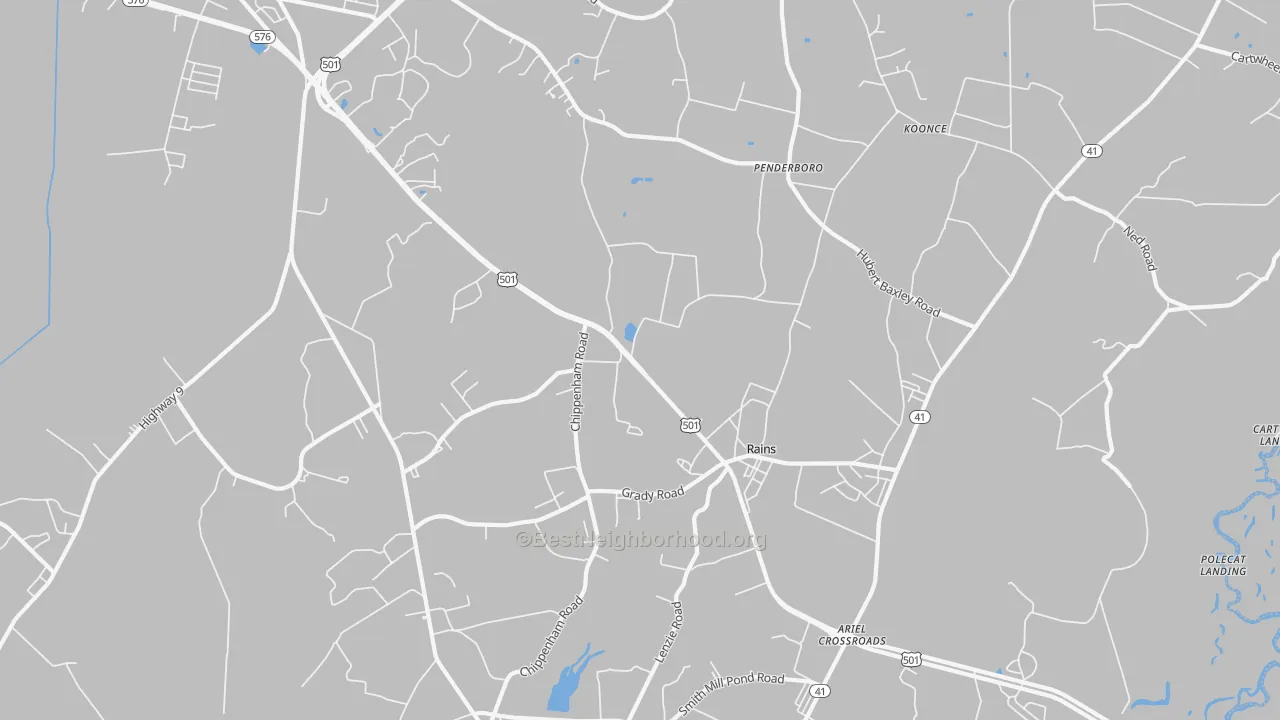 Transit Grade map of Rains, SC