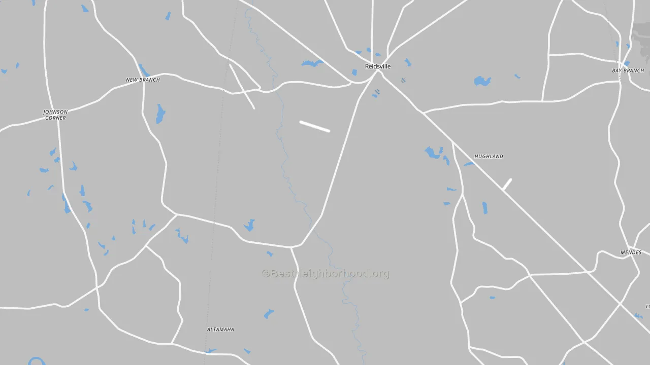 Transit Grade map of Reidsville, GA