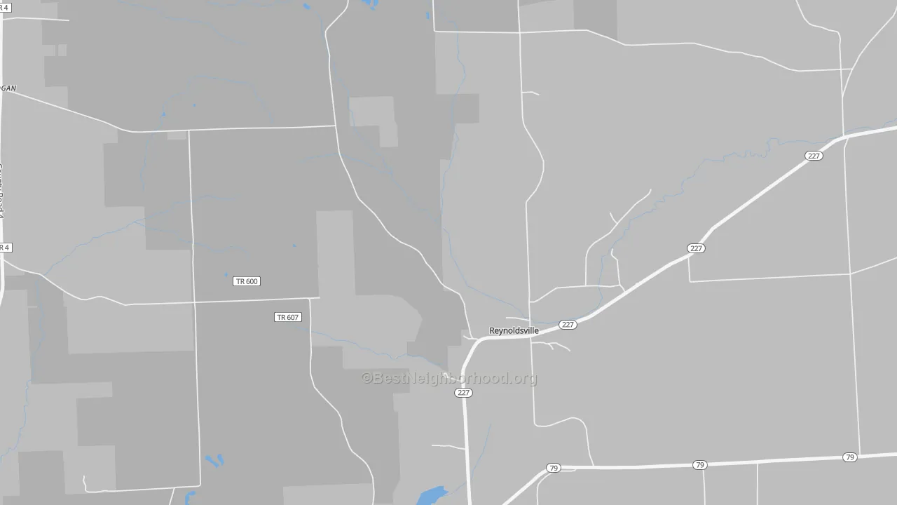 Transit Grade map of Reynoldsville, NY