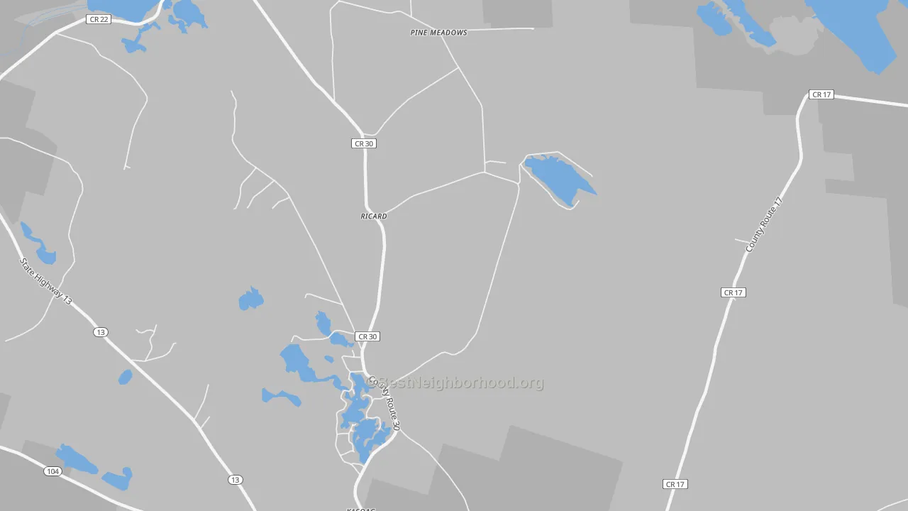 Transit Grade map of Ricard, NY