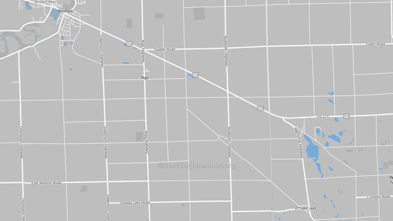 Transit Grade map of Riga, MI