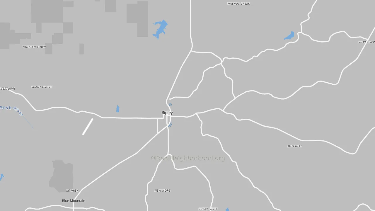 Transit Grade map of Ripley, MS
