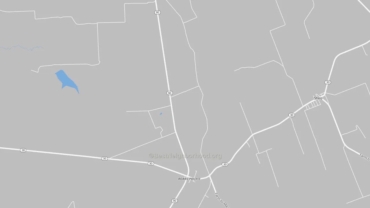 Transit Grade map of Roans Prairie, TX