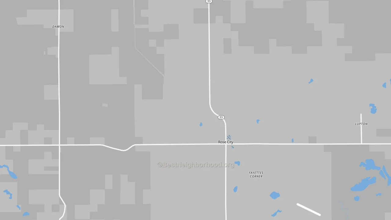 Transit Grade map of Rose City, MI