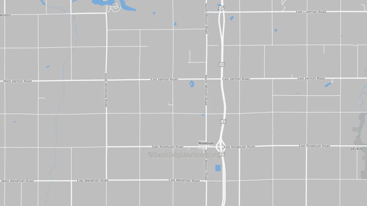 Transit Grade map of Rosebush, MI