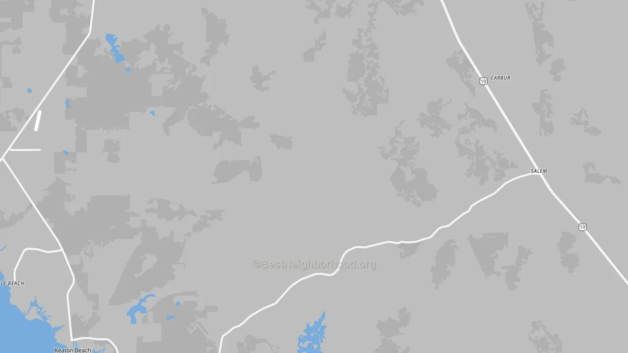 Transit Grade map of Salem, FL