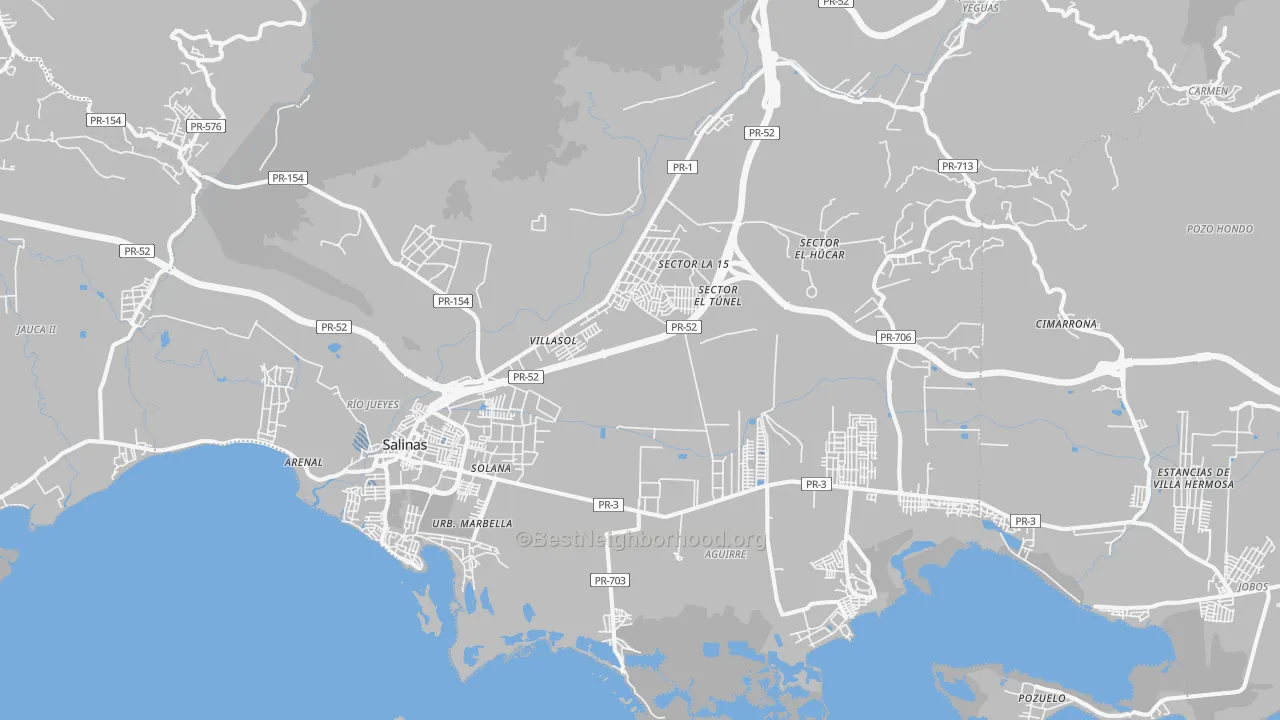 Transit Grade map of Salinas Municipio, PR