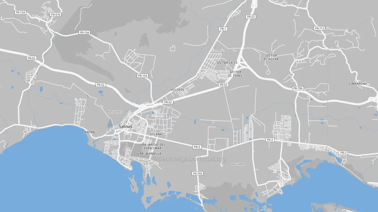 Transit Grade map of Salinas, PR