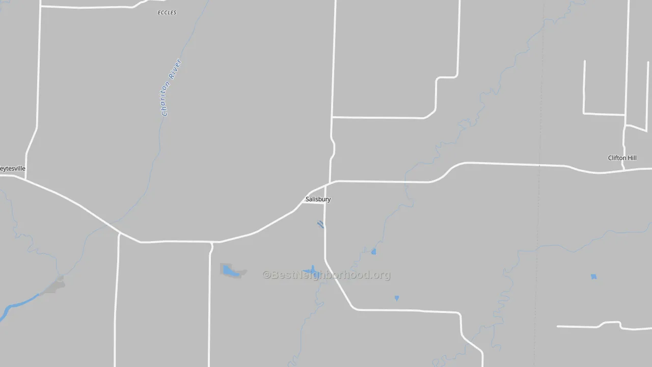 Transit Grade map of Salisbury, MO