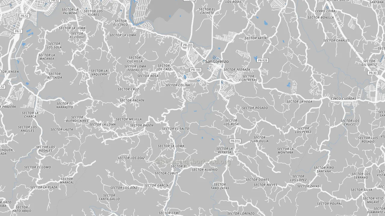 Transit Grade map of San Lorenzo Municipio, PR