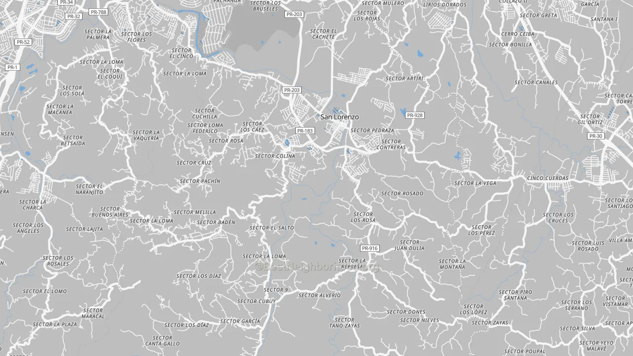 Transit Grade map of San Lorenzo, PR