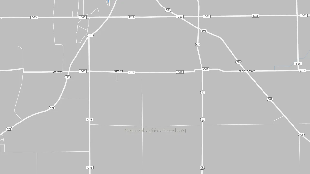 Transit Grade map of Savona, OH
