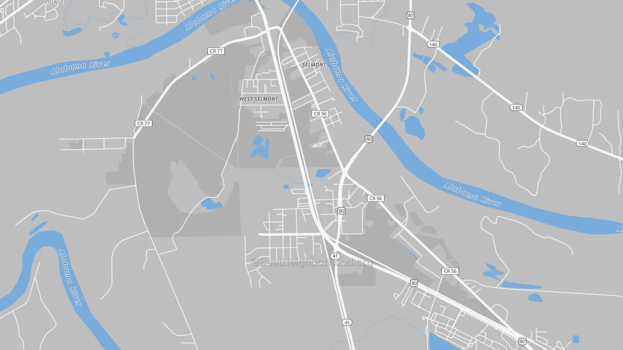 Transit Grade map of Selmont-West Selmont, AL