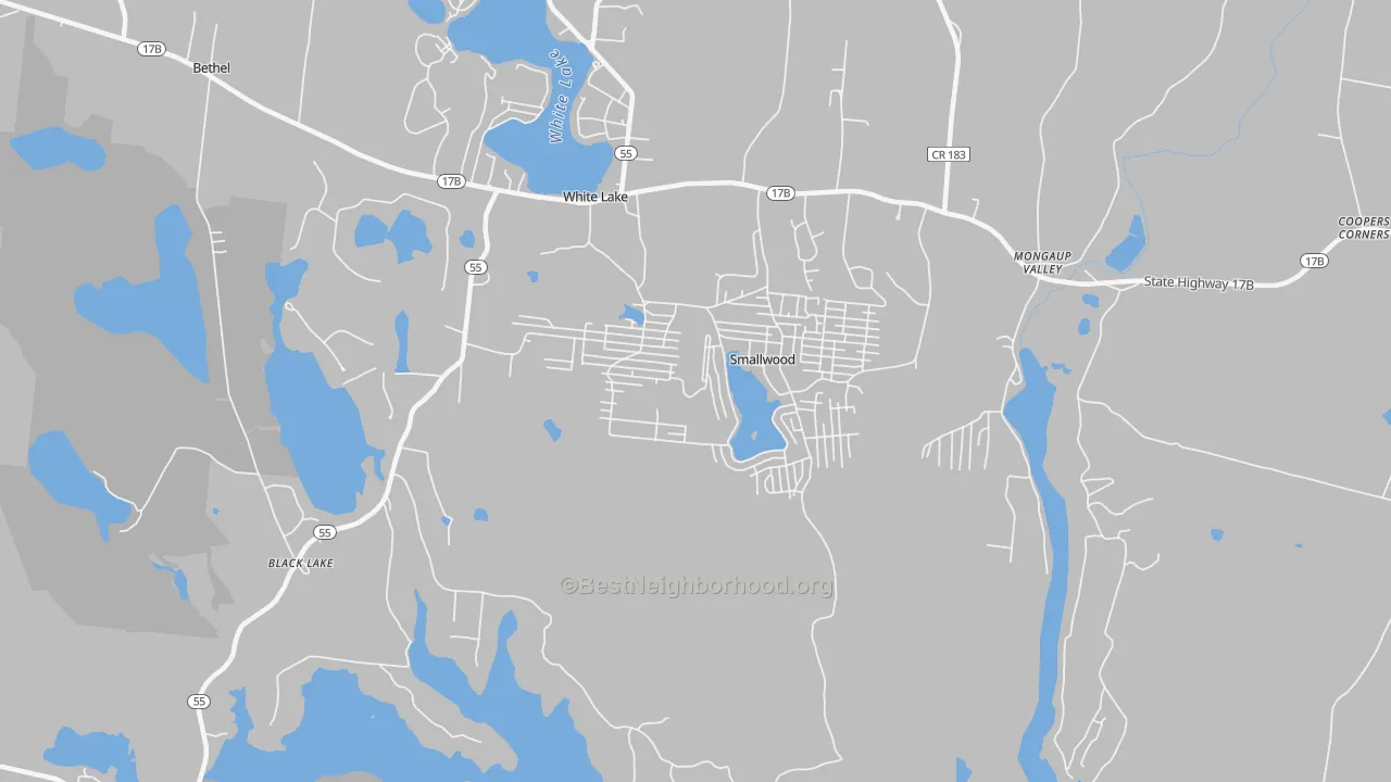 Transit Grade map of Smallwood, NY