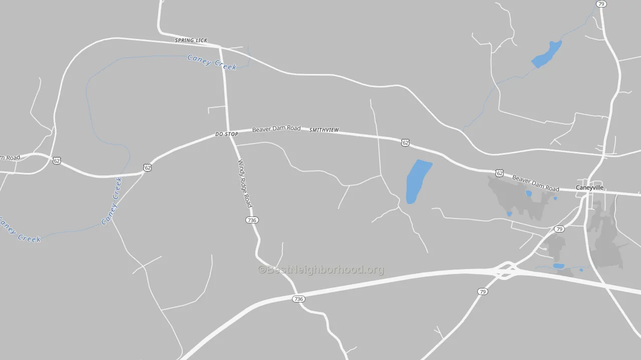 Transit Grade map of Smithview, KY