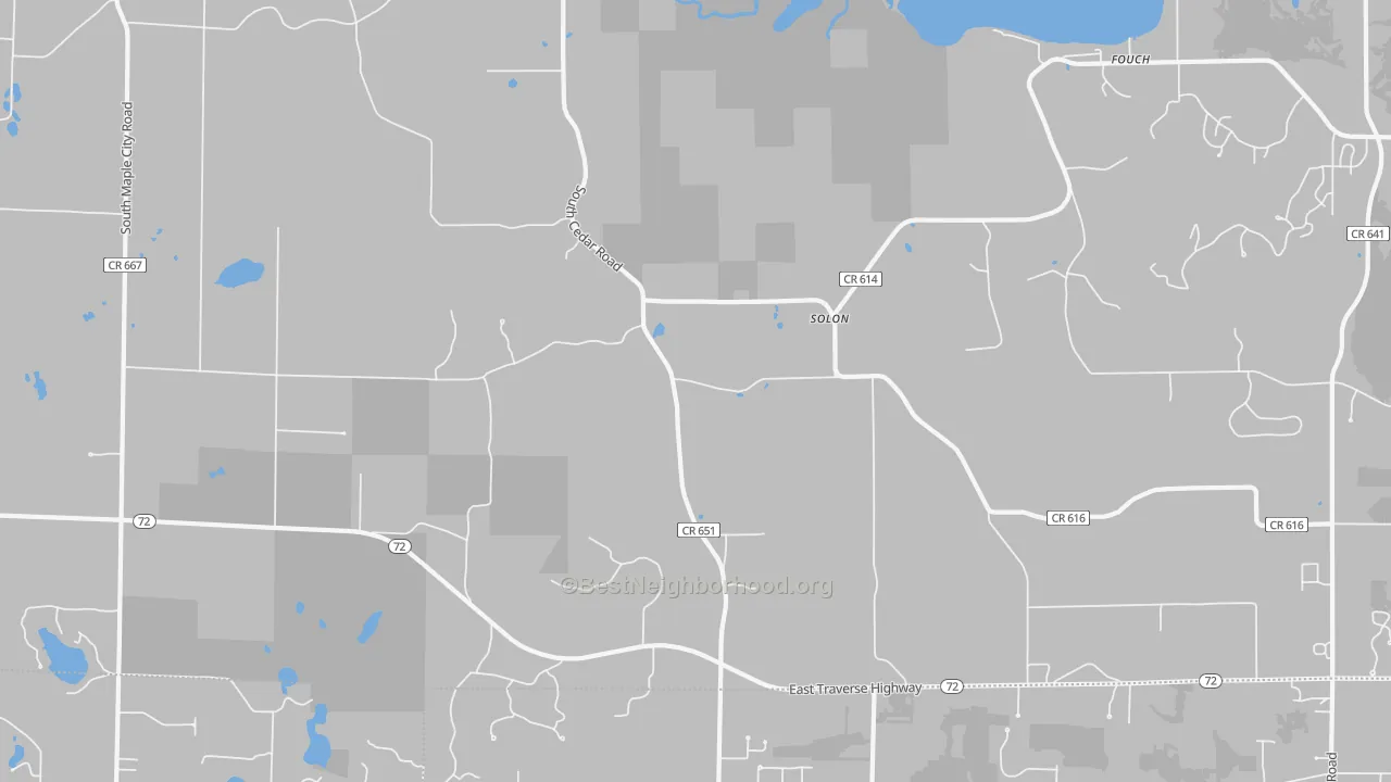 Transit Grade map of Solon, MI