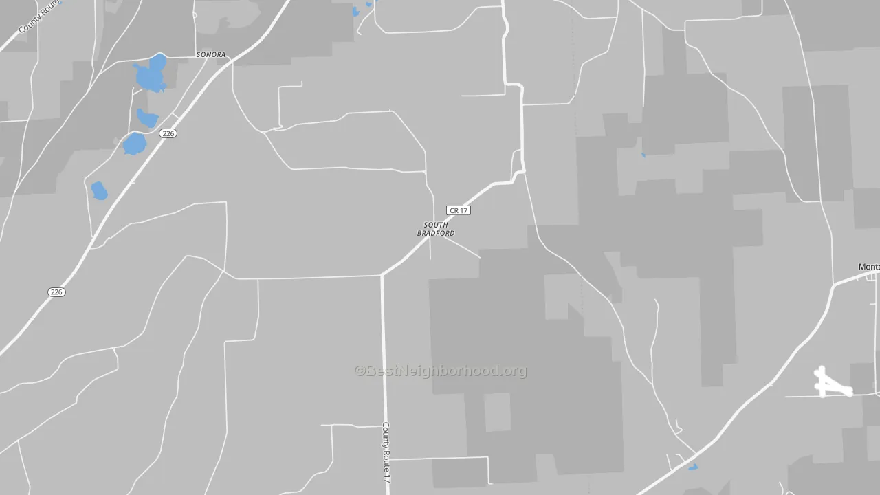 Transit Grade map of South Bradford, NY