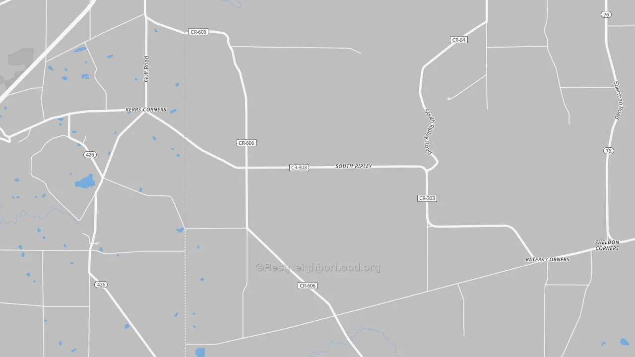 Transit Grade map of South Ripley, NY