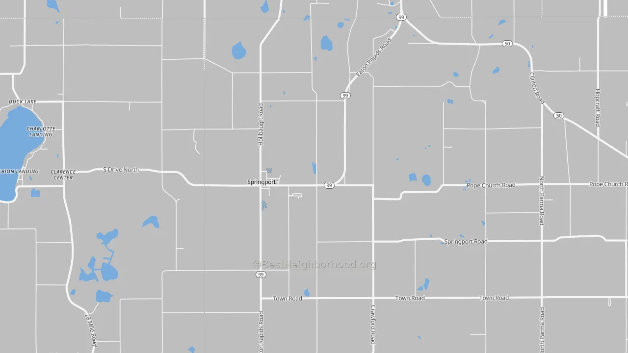 Transit Grade map of Springport, MI