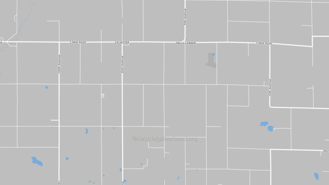 Transit Grade map of Sylvester, MI