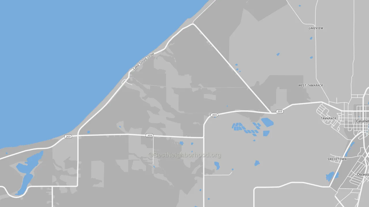 Transit Grade map of Tamarack, MI