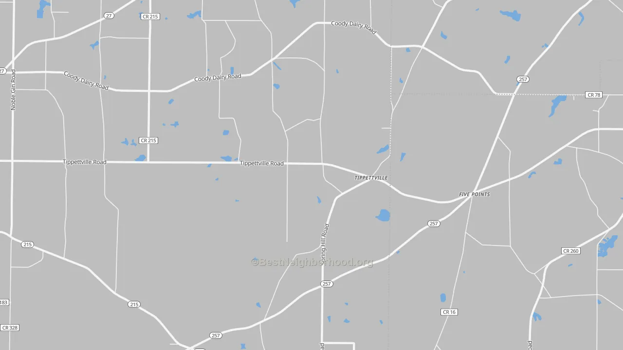 Transit Grade map of Tippettville, GA