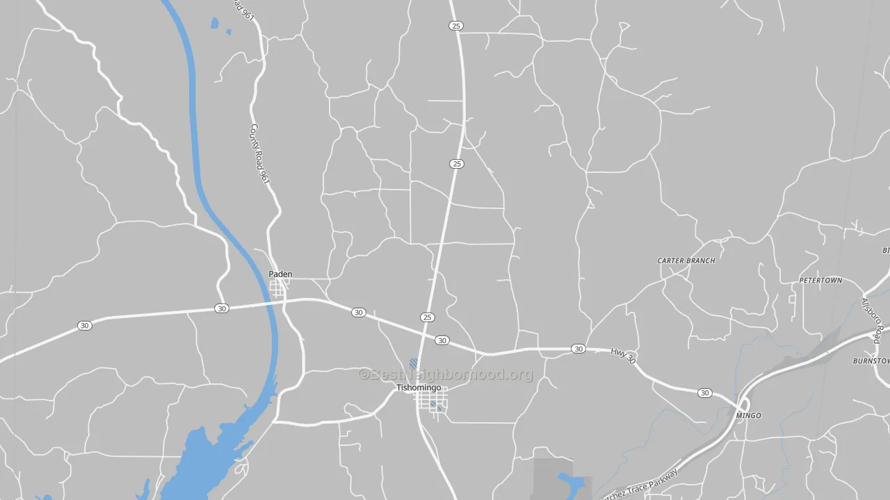 Transit Grade map of Tishomingo, MS