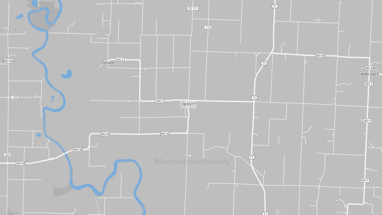 Transit Grade map of Triplett, MO