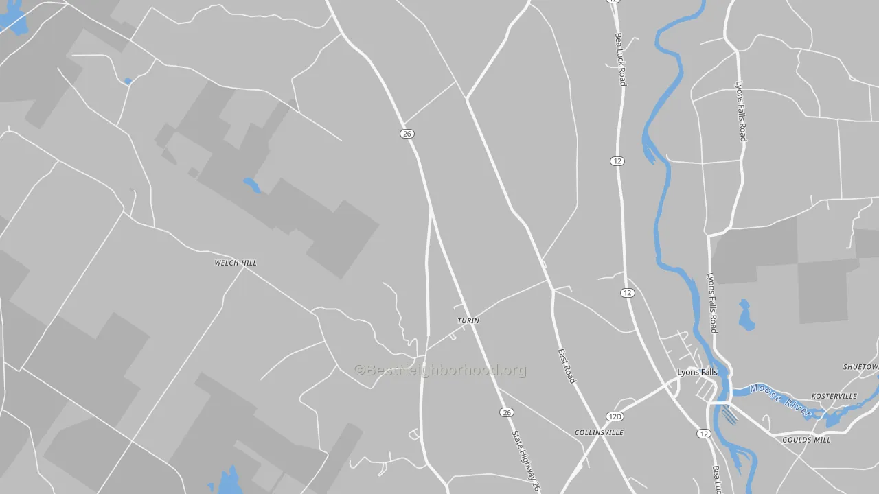 Transit Grade map of Turin, NY