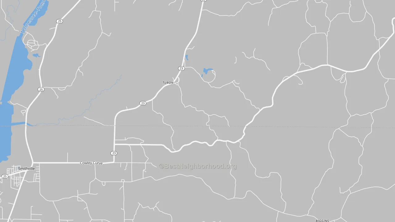 Transit Grade map of Turon, MS