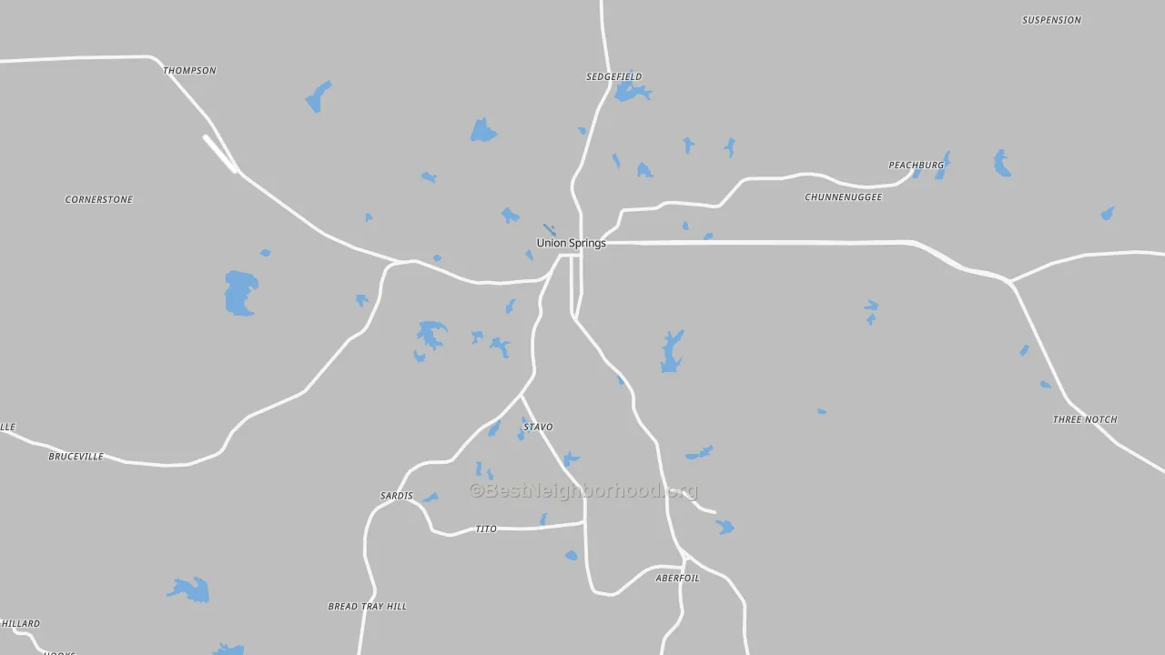 Transit Grade map of Union Springs, AL