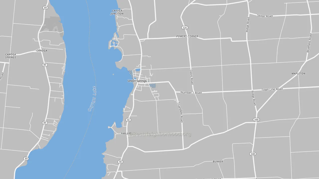 Transit Grade map of Union Springs, NY