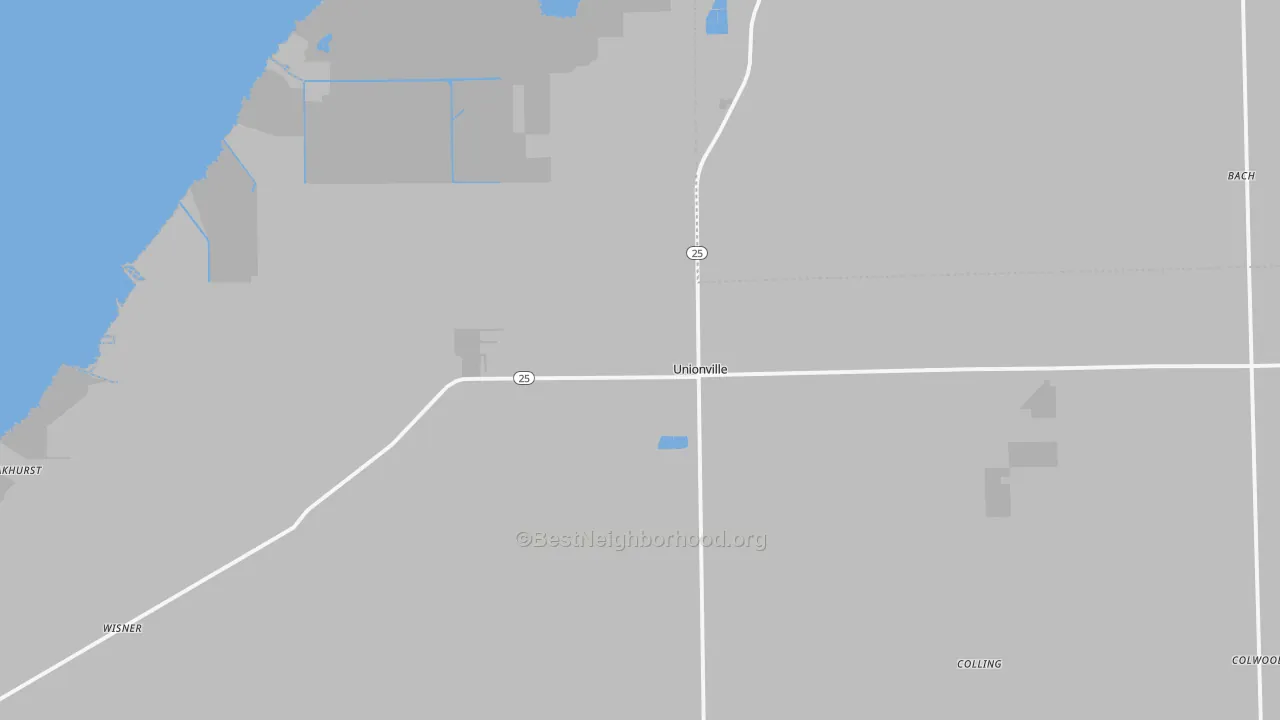 Transit Grade map of Unionville, MI