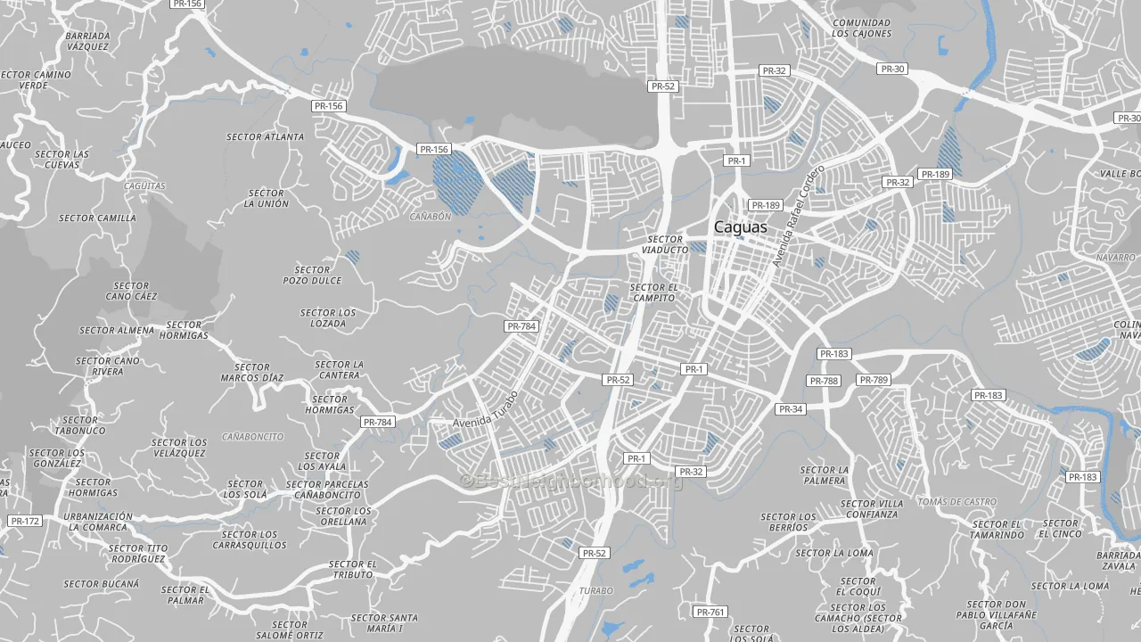 Transit Grade map of Urbanizacion Bonneville Hts, Caguas, PR