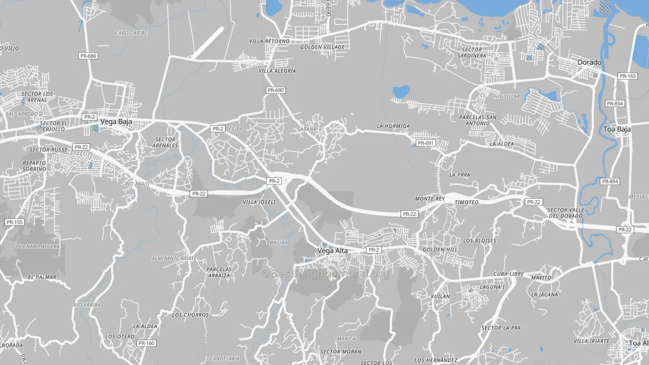 Transit Grade map of Vega Alta, PR