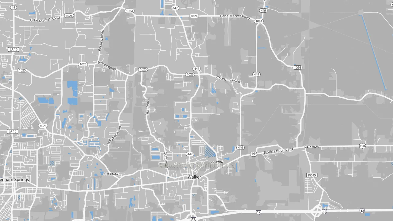 Transit Grade map of Walker, LA
