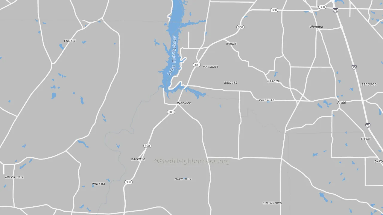 Transit Grade map of Warwick, GA