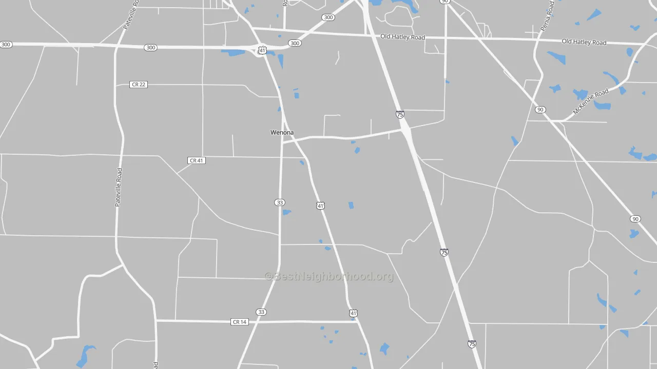 Transit Grade map of Wenona, GA