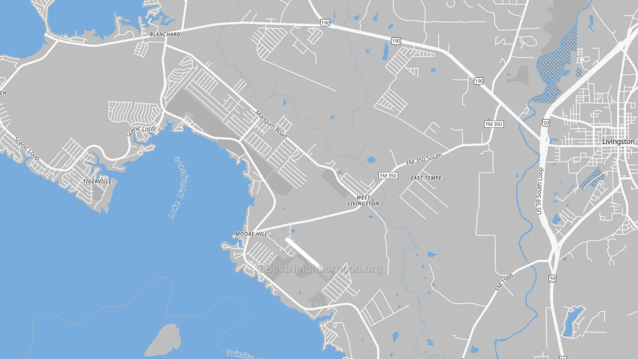 Transit Grade map of West Livingston, TX