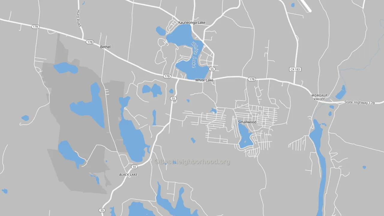 Transit Grade map of White Lake, NY
